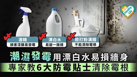 清除牆壁霉菌|【生活百科】漂白水、酒精唔係萬能 裝修佬教你徹底清除牆身霉菌